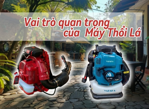 Vai Trò Quan Trọng Của Máy Thổi Lá