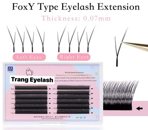 Mi Hoa Nhỏ - Fox Y type eyelash - Mi fisheyes
