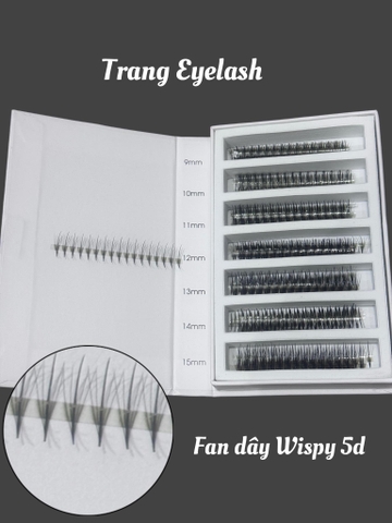Mi Fan Dây Wiispy Sẵn 5D 7D 9D – Hiệu Ứng Wispy Tự Nhiên, Dễ Thao Tác