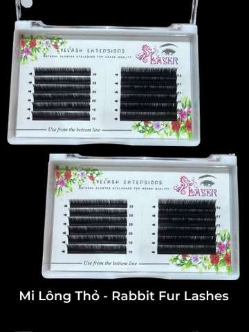 Mi lông thỏ Rabbit Lashes