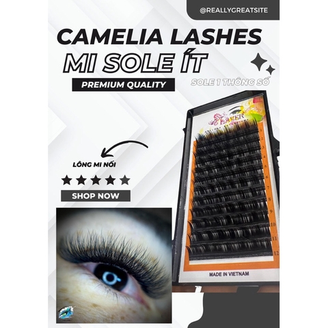 ￼LÔNG MI SO LE - Lông Mi CAMELLIA, loại so le ít, cách nhau 1 thông số