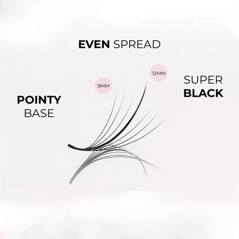Lông mi Wispy Fan Sẵn 7D