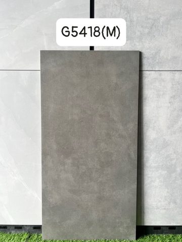 Gạch Ấn Độ 60*120 mã G5418