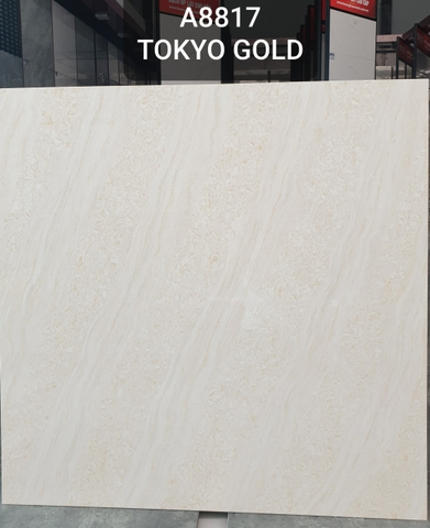 Gạch Ấn Độ 80*80 mã 8817