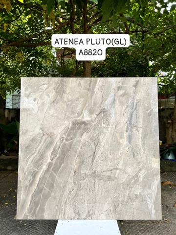 Gạch Ấn Độ 80*80 mã 8820