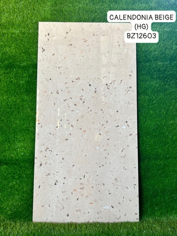 Gạch Ấn Độ 60*120 mã BZ12603