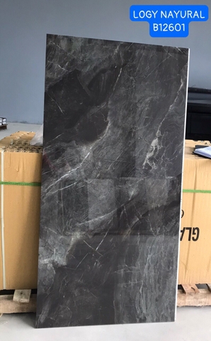 Gạch Ấn Độ 60*120 mã B12601