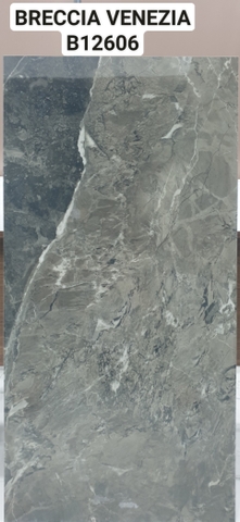 Gạch Ấn Độ 60*120 mã B12606