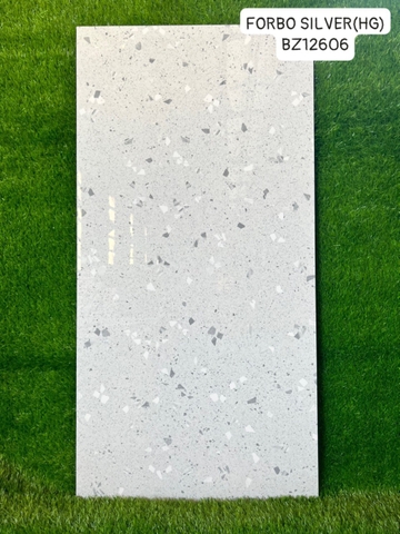 Gạch Ấn Độ 60*120 mã BZ12606