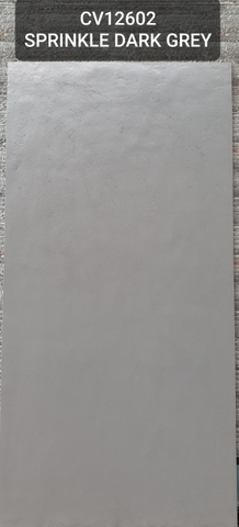 Gạch Ấn Độ 60*120 mã CV12602