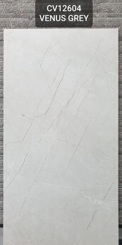 Gạch Ấn Độ 60*120 mã CV12604