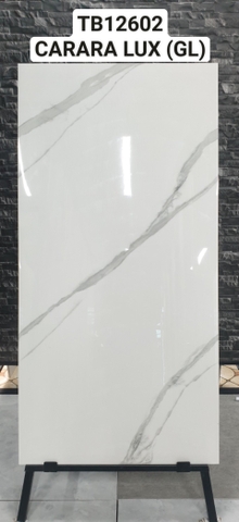 Gạch Ấn Độ 60*120 mã TB12602