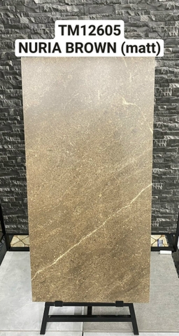 Gạch Ấn Độ 60*120 mã TM12605