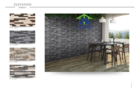 Gạch Trang Trí Ấn Độ 30*60-E12 1128-1231