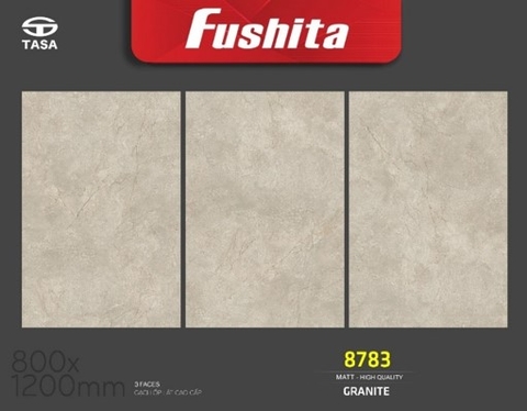 Gạch ốp lát kt 80x120