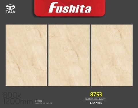 Gạch ốp lát kt 80x120