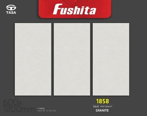 Gạch ốp lát kt 60x120