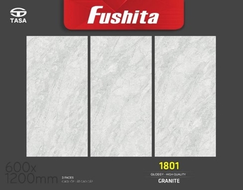 Gạch ốp lát kt 60x120