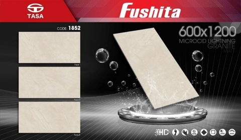 Gạch ốp lát kt 60x120