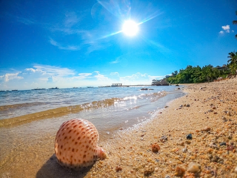 Tour Cù Lao Chàm 1 Ngày Từ Đà Nẵng