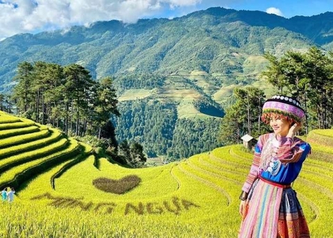 Mù Cang Chải - Đèo Khau Phạ - Tú Lệ / 2 Ngày 1 Đêm