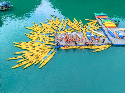 Combo Cát Bà Xe khứ hồi + Tour  1 ngày Vịnh Lan Hạ Du thuyền Daiichi Cruise