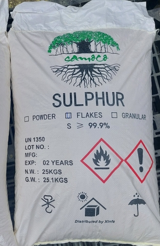 BÁN LƯU HUỲNH VẨY