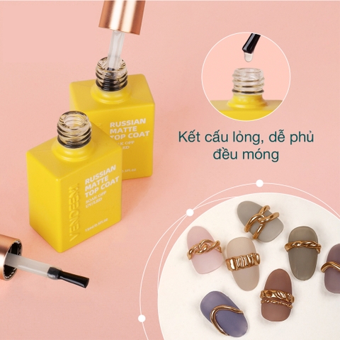 Top lì không lem Vendeeni (5/10/30/50 pcs/case)