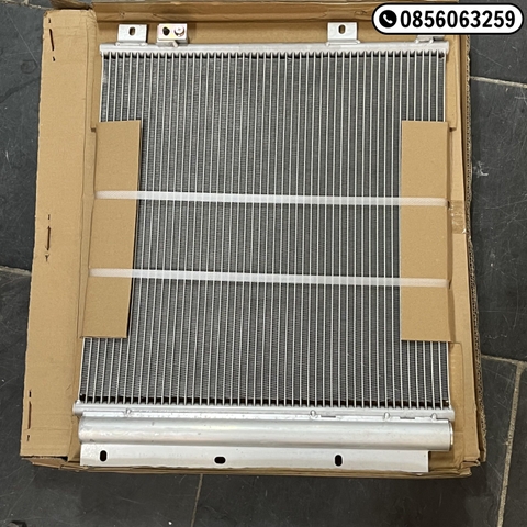 VT01243 DN Hổ vồ đời cao HBS P085928
