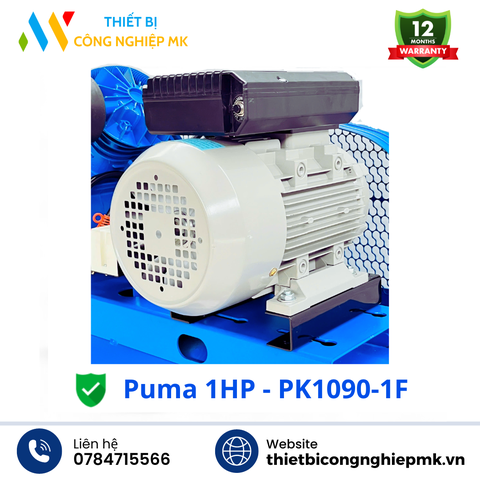 Máy Nén Khí Puma 1HP-1F