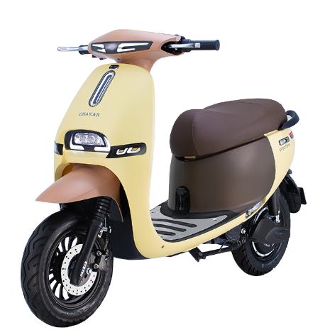 XE MÁY ĐIỆN OSAKAR GOGO FIONA