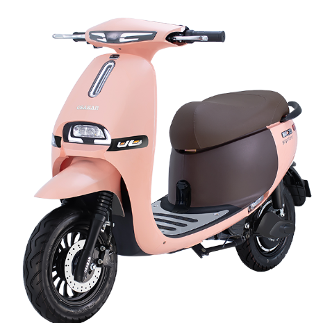 XE MÁY ĐIỆN OSAKAR GOGO FIONA