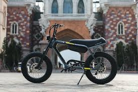 XE ĐẠP ĐIỆN VINFAST DRGNFLY