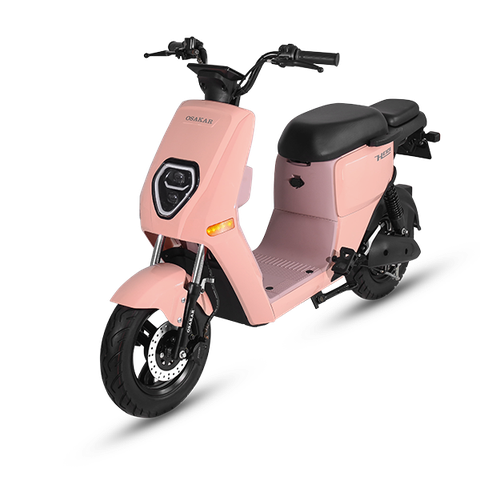 XE MÁY ĐIỆN OSAKAR HEIDI
