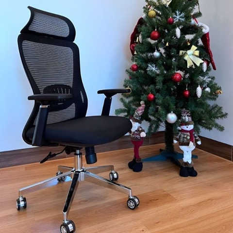 Ghế Công Thái Học Tựa Đầu GX10