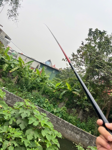 OSNY X7 HỒNG MÃ CHIẾN TƯỚNG - 4H28, BẢO HÀNH CẢ GỐC, CHÍNH HÃNG OSNY