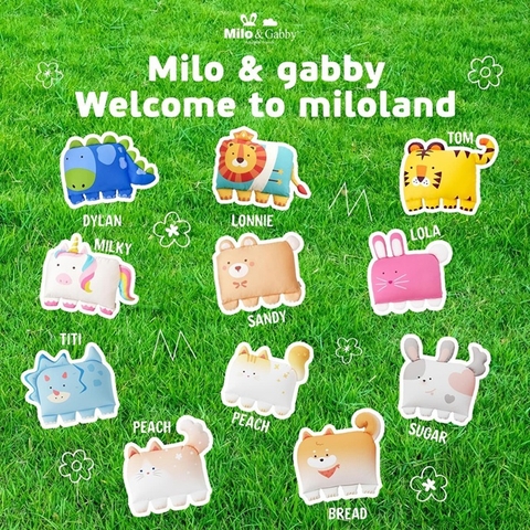 Những điểm vượt trội của gối Milo Gabby so với các sản phẩm khác trên thị trường