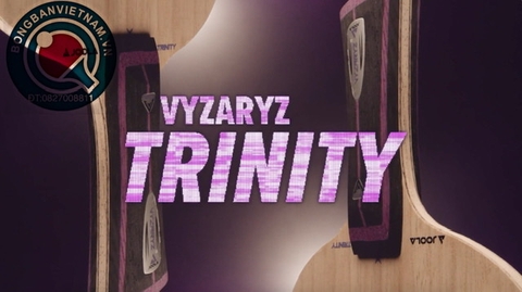 JOOLA VYZARYZ TRINITY