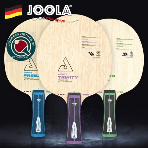 JOOLA VYZARYZ HYBRID