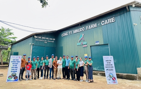 THAM QUAN MÔ HÌNH CÀ PHÊ XEN CANH NÔNG LÂM KẾT HỢP - TRANG TRẠI AEROCO COFFEE