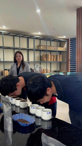 huyên gia UCC Coffee kiểm tra hương thơm và chất lượng cà phê Robusta Gia Lai