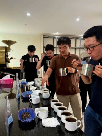 Quy trình cupping test cà phê chuyên nghiệp theo tiêu chuẩn quốc tế tại văn phòng Tín Thành Đạ