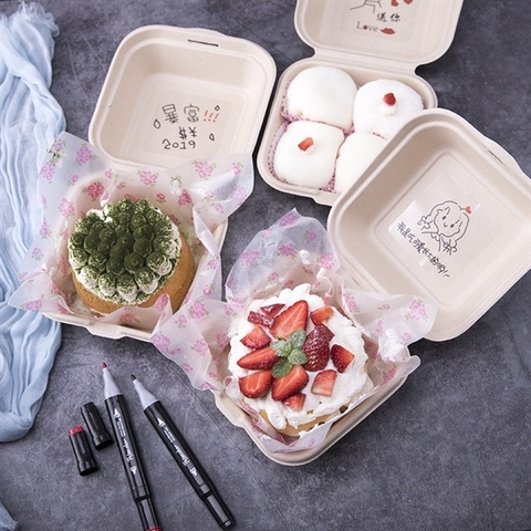 Hộp bã mía Bento 15*4.6cm
