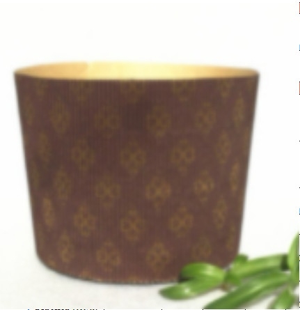 Túi đựng cốc Panetton 6i