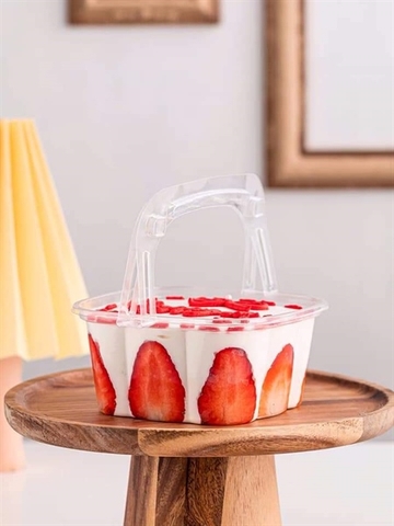 Hộp nhựa xách tay HY-091