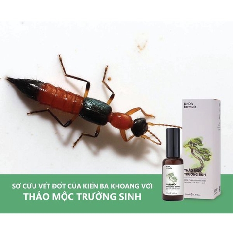 Thảo Mộc Trường Sinh - Dr'D Formula - Hỗ trợ trị lỡ loét, vết thương ngoài da.