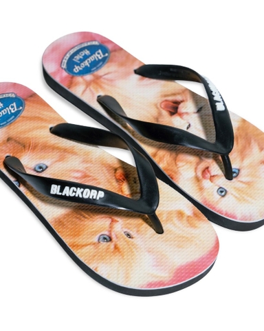 Chatons Flipflop