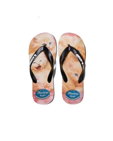 Chatons Flipflop