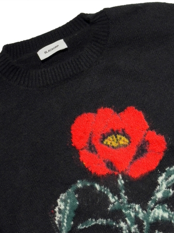 Aimer sweater