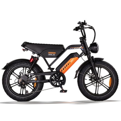 Xe đạp trợ lực điện AVDL A50